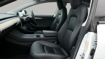 Tesla Model 3 ALL MODELS