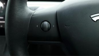 Tesla Model 3 ALL MODELS