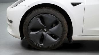 Tesla Model 3 ALL MODELS