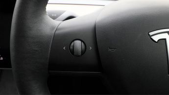 Tesla Model 3 ALL MODELS