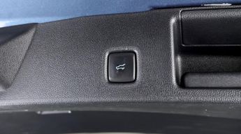 Ford Kuga ST-LINE X EDITION