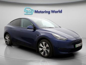 Tesla Model Y ALL MODELS