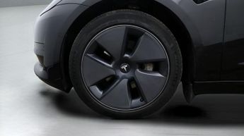 Tesla Model 3 ALL MODELS