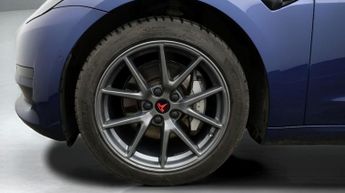 Tesla Model 3 ALL MODELS