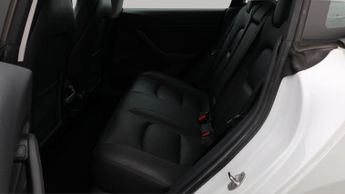 Tesla Model 3 ALL MODELS