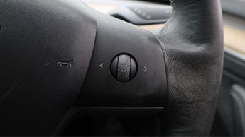 Tesla Model 3 ALL MODELS