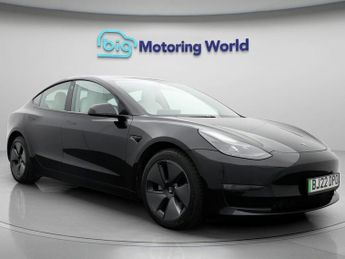 Tesla Model 3 ALL MODELS