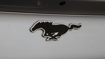 Ford Mustang Mach-E BASE