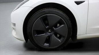 Tesla Model 3 ALL MODELS