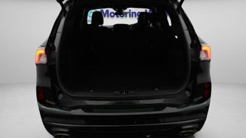 Ford Kuga ST-LINE X EDITION