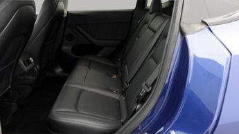 Tesla Model Y ALL MODELS