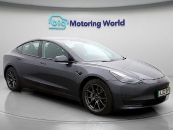 Tesla Model 3 ALL MODELS
