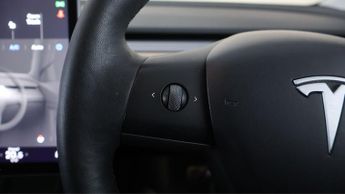 Tesla Model 3 ALL MODELS