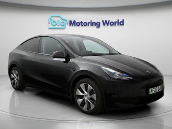 Tesla Model Y ALL MODELS