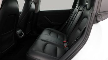 Tesla Model 3 ALL MODELS