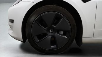 Tesla Model 3 ALL MODELS