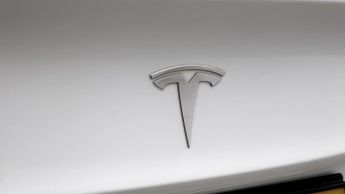 Tesla Model 3 ALL MODELS
