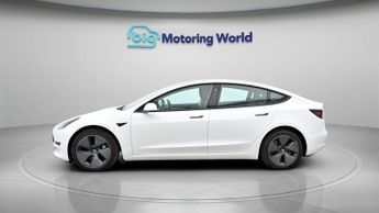 Tesla Model 3 ALL MODELS