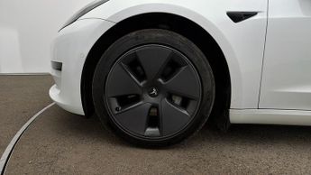 Tesla Model 3 ALL MODELS