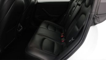 Tesla Model 3 ALL MODELS