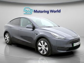 Tesla Model Y ALL MODELS