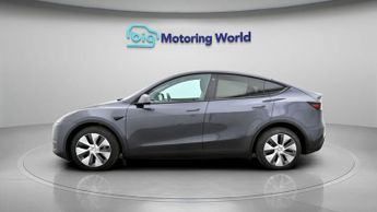 Tesla Model Y ALL MODELS