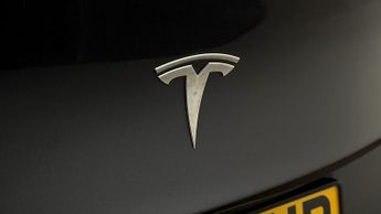 Tesla Model Y ALL MODELS