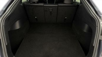 Tesla Model Y ALL MODELS