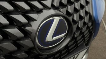 Lexus UX 300E