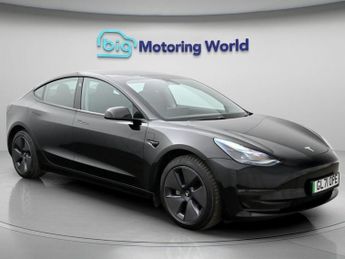 Tesla Model 3 ALL MODELS