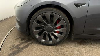 Tesla Model 3 ALL MODELS