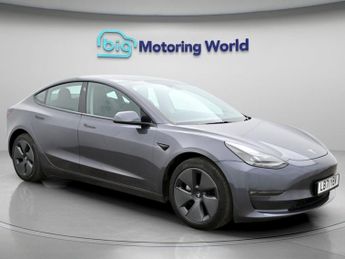 Tesla Model 3 ALL MODELS
