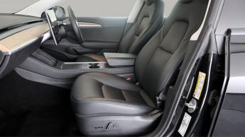 Tesla Model 3 ALL MODELS