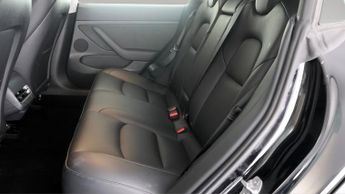 Tesla Model 3 ALL MODELS