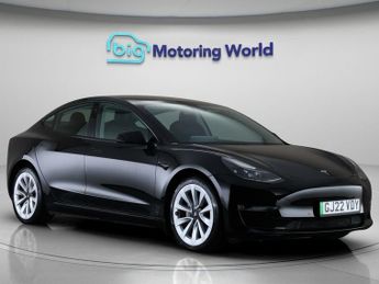 Tesla Model 3 ALL MODELS