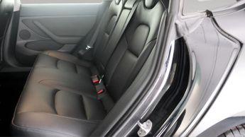 Tesla Model 3 ALL MODELS