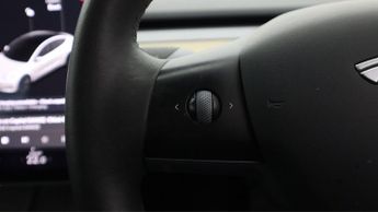 Tesla Model 3 ALL MODELS