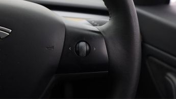 Tesla Model 3 ALL MODELS