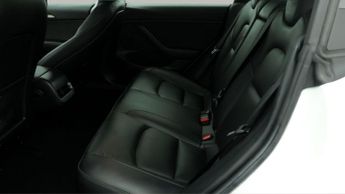 Tesla Model 3 ALL MODELS