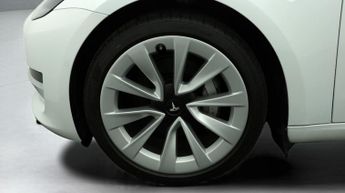 Tesla Model 3 ALL MODELS