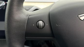 Tesla Model 3 ALL MODELS