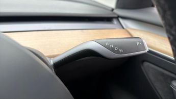 Tesla Model 3 ALL MODELS