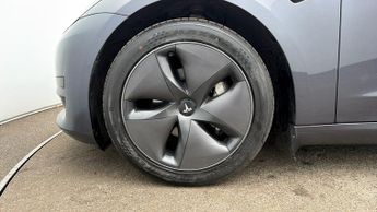 Tesla Model 3 ALL MODELS