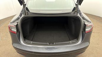 Tesla Model 3 ALL MODELS