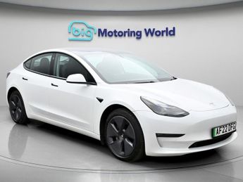 Tesla Model 3 ALL MODELS
