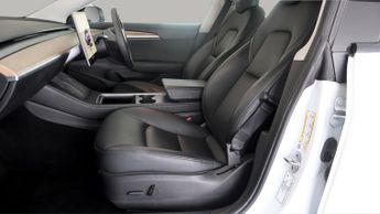 Tesla Model 3 ALL MODELS