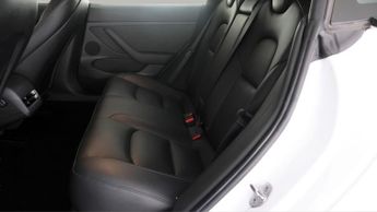 Tesla Model 3 ALL MODELS