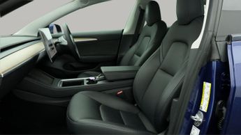 Tesla Model 3 ALL MODELS