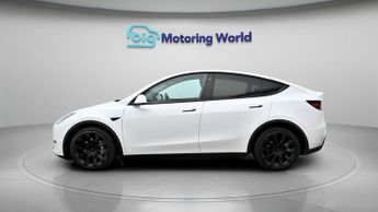 Tesla Model Y ALL MODELS