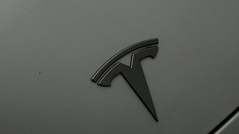 Tesla Model Y ALL MODELS